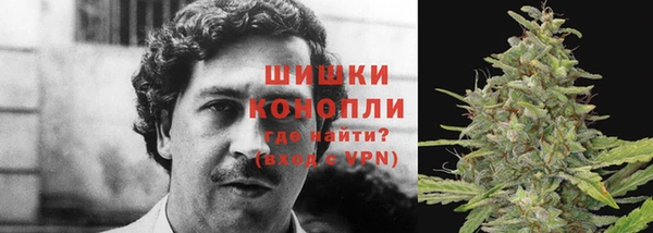 каннабис Касимов