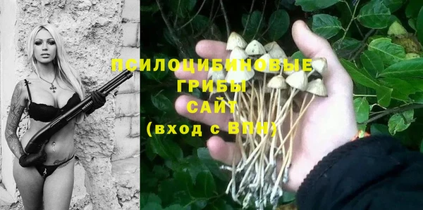 прущая мука Карталы
