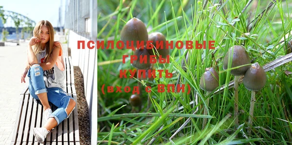 прущая мука Карталы